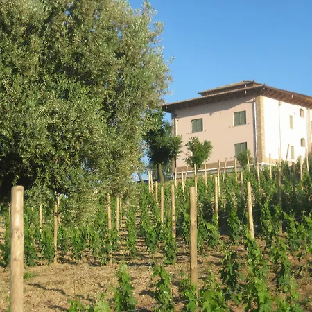 L'Orso e L'Ape B&B-2